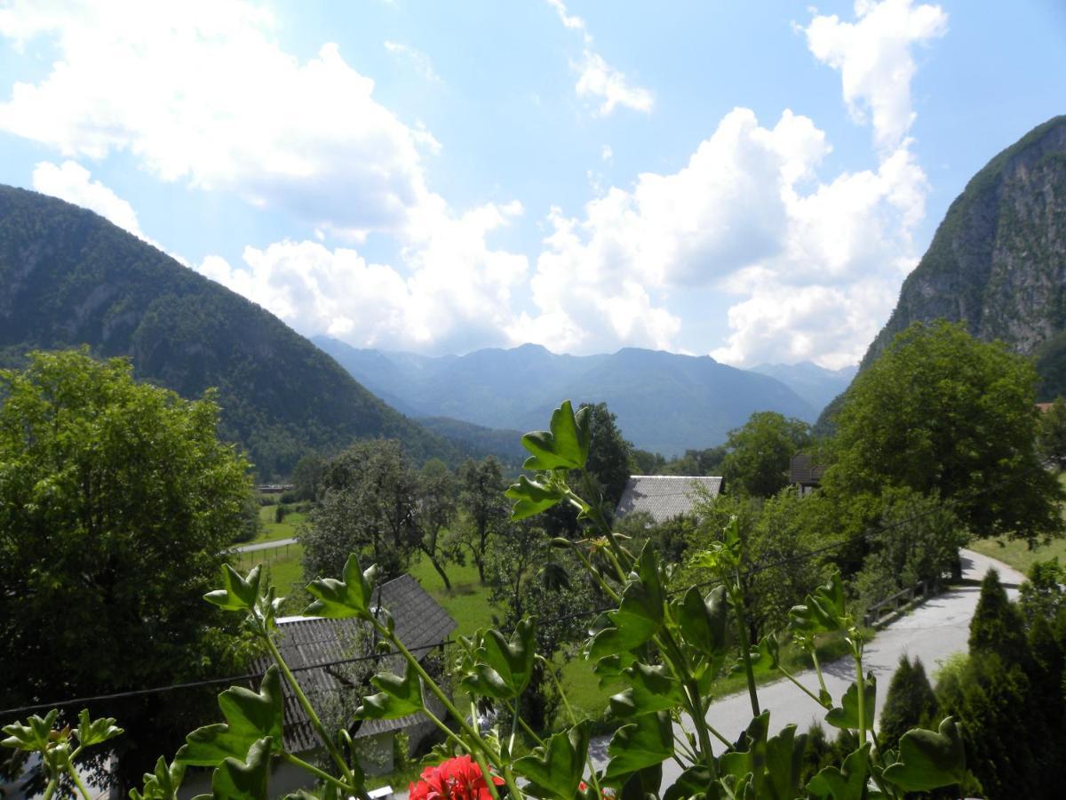 Apartma Cvetek, Srednja Vas 133 Bohinj Dış mekan fotoğraf